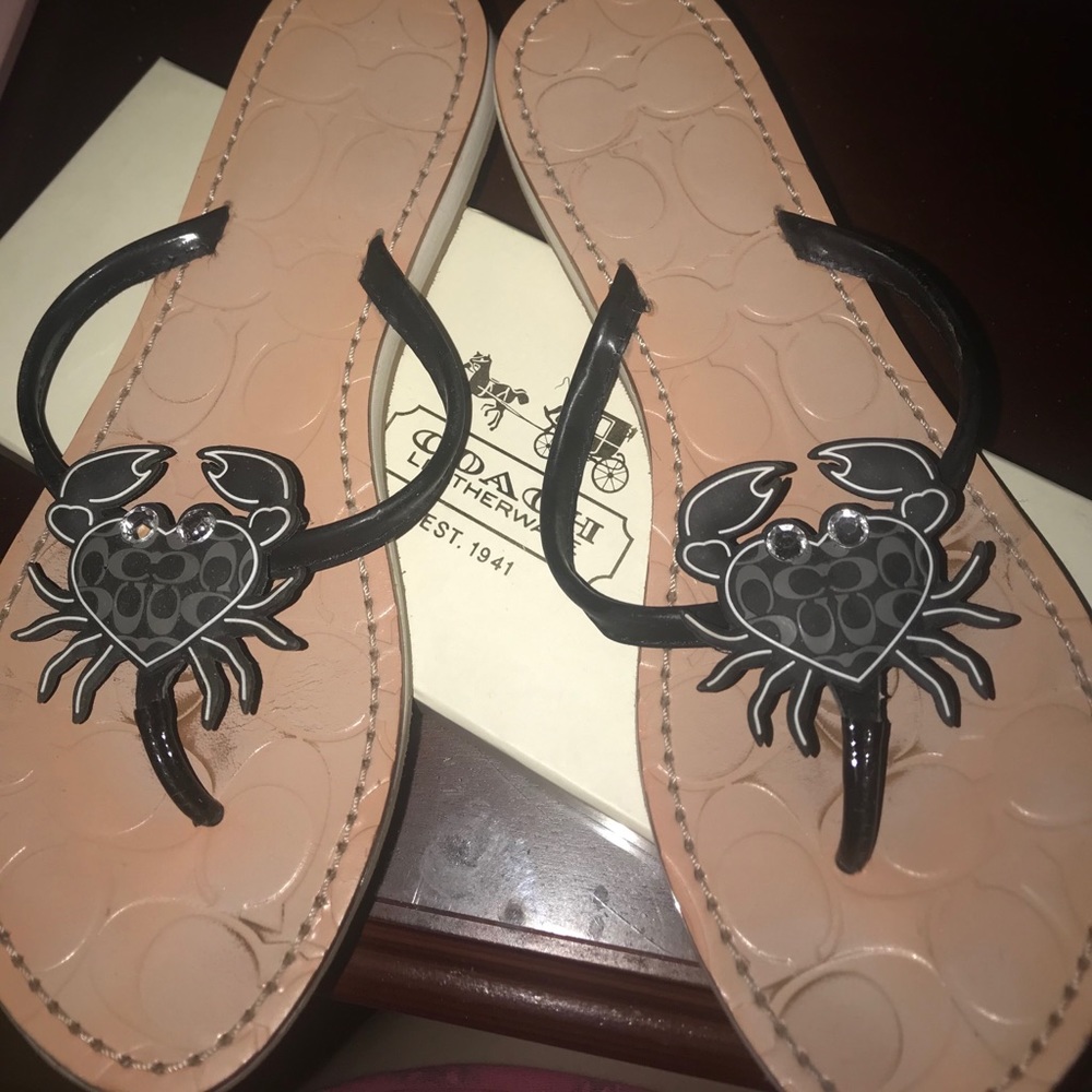 Coach Flip Flop Sandals